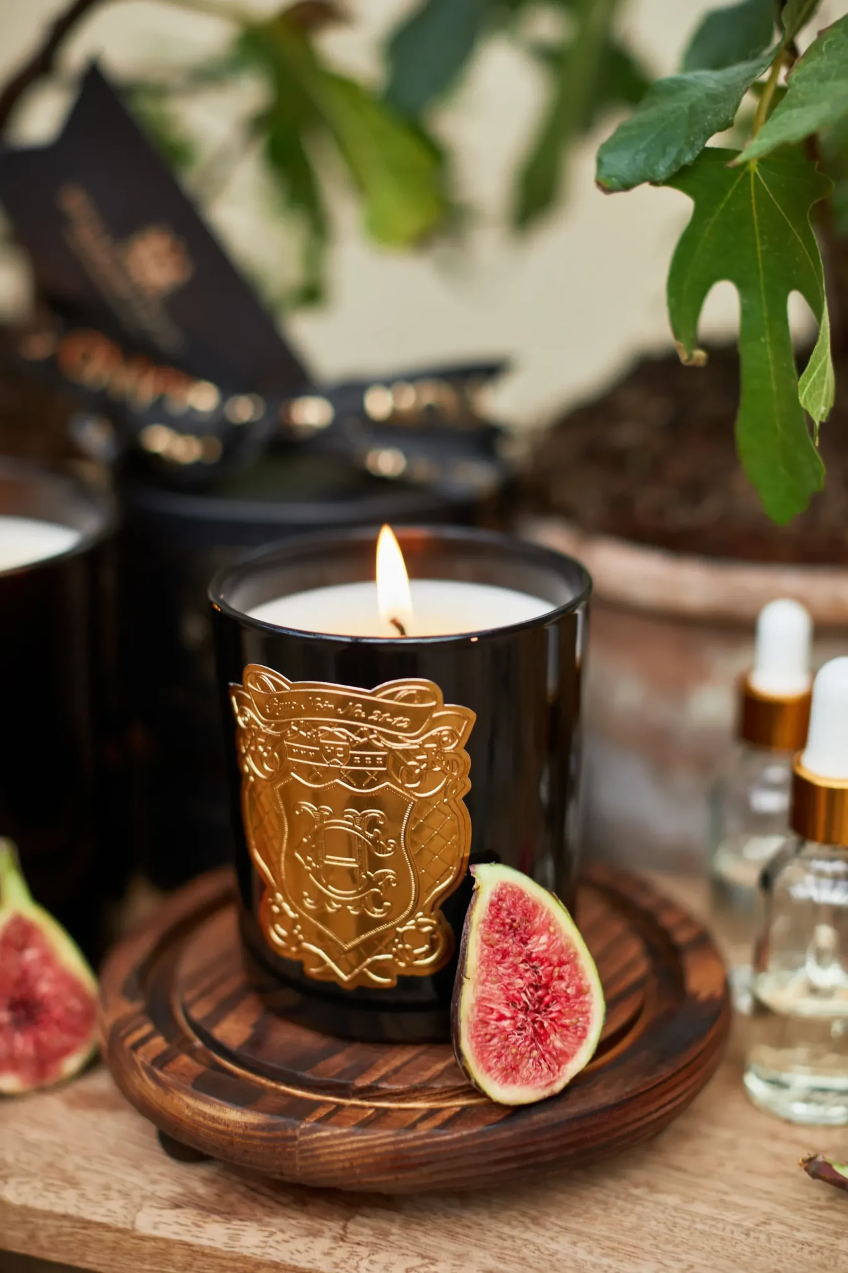 Holland Cooper Single Wick Candle Figue Noir Online